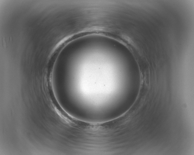 X0000082731452200701261232