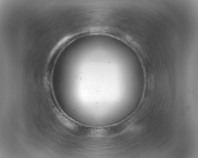 X0000082731454200701261232