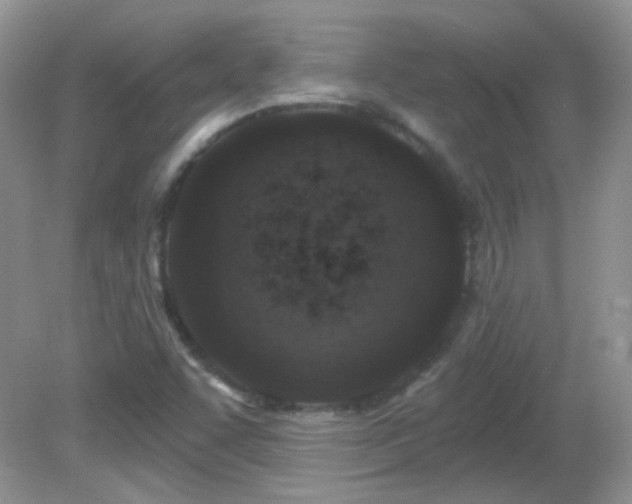 X0000082731455200701261232