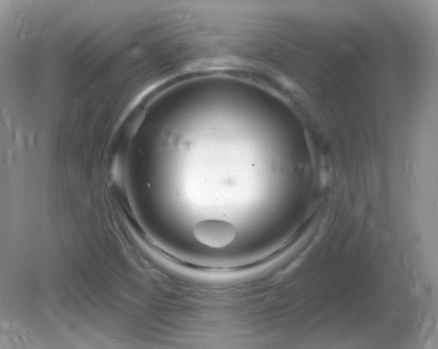 X0000082731457200701261232
