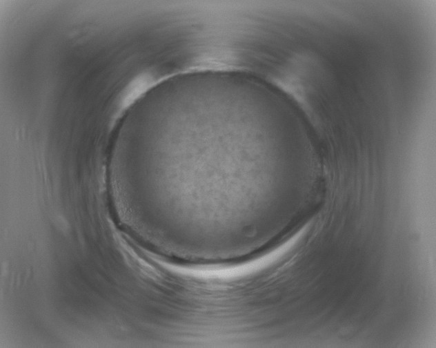 X0000082731459200701261232