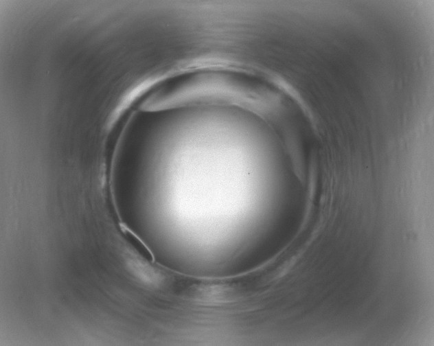 X0000082731461200701261232