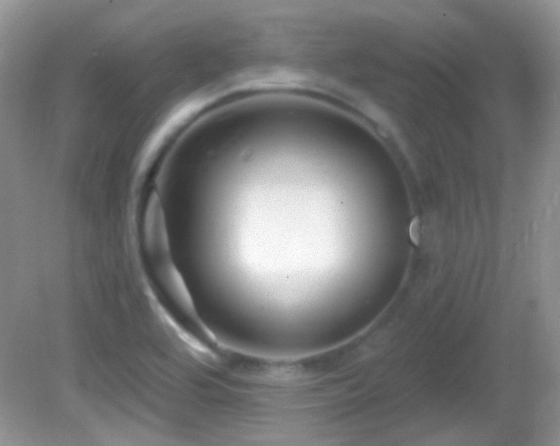 X0000082731464200701261232