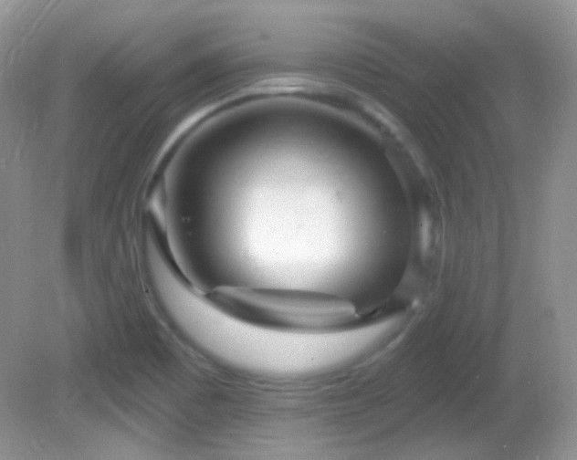 X0000082731465200701261232
