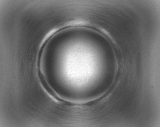 X0000082731469200701261232
