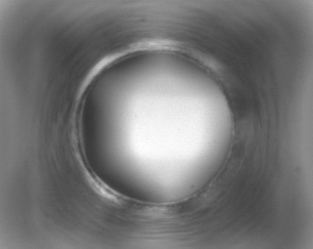X0000082731470200701261232