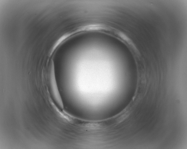 X0000082731473200701261232