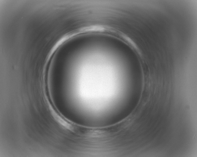 X0000082731475200701261232