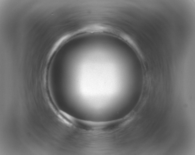 X0000082731477200701261232