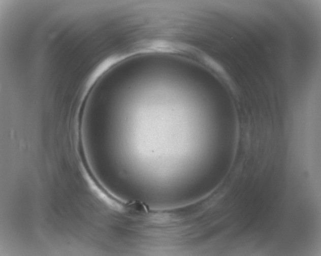 X0000082731479200701261232