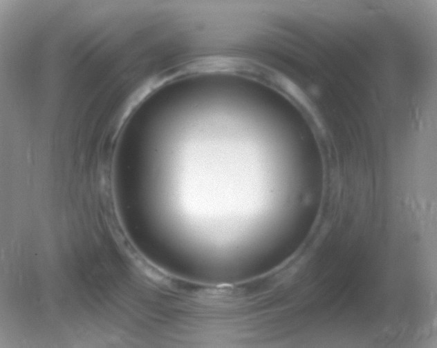X0000082731481200701261232