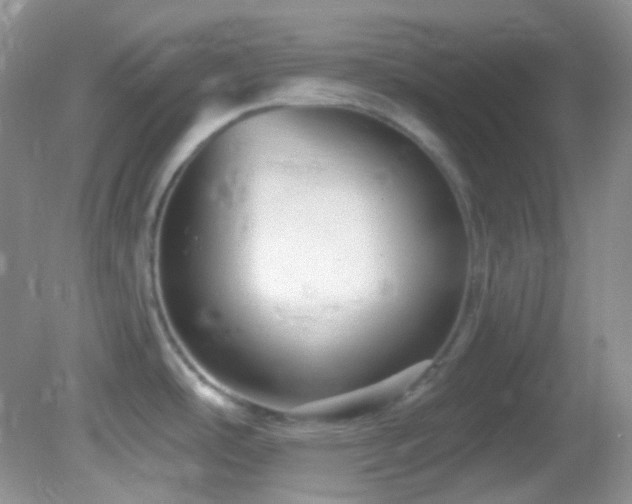 X0000082731486200701261232