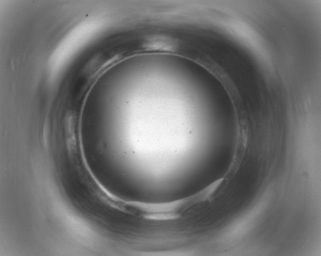 X0000082731487200701261232