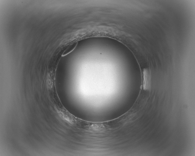 X0000082731491200701261231
