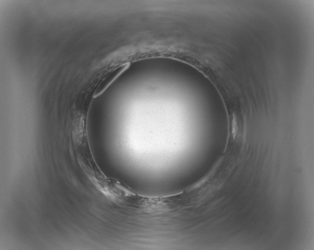 X0000082731492200701261231