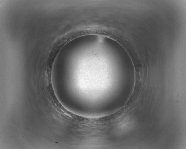 X0000082731493200701261231