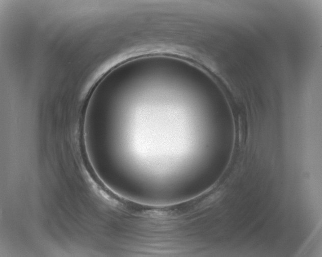 X0000082731500200701261231