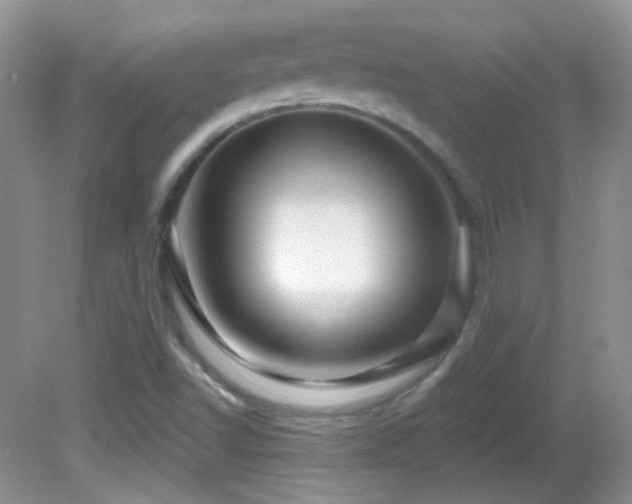 X0000082731502200701261231
