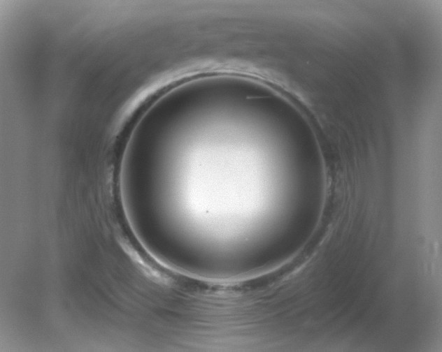 X0000082731503200701261231