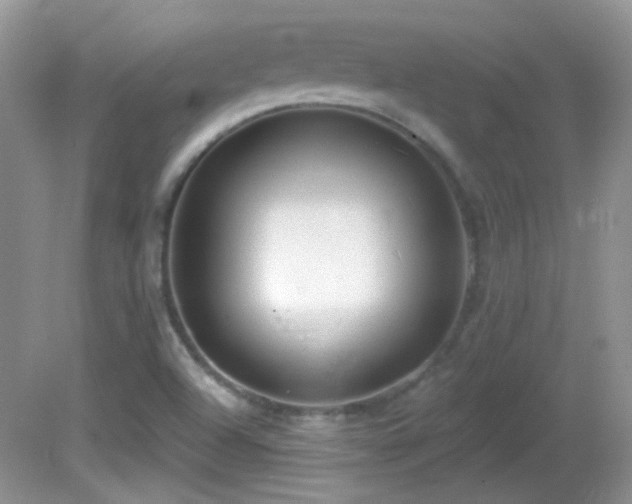 X0000082731504200701261231