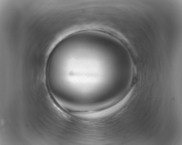 X0000082731512200701261231