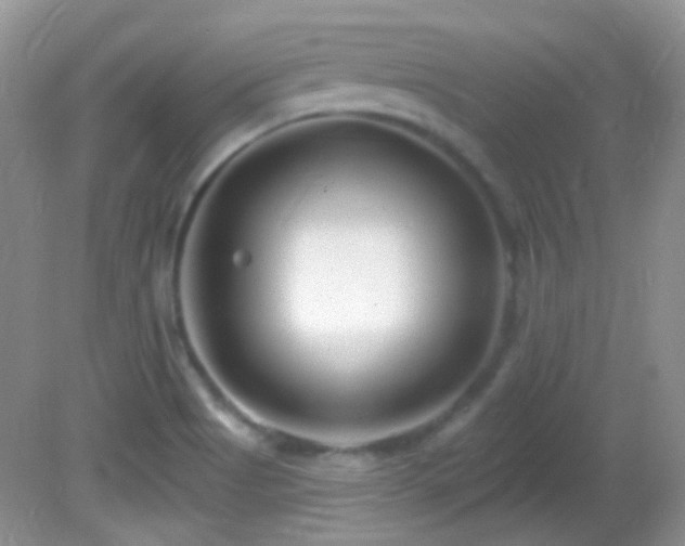 X0000082731513200701261231