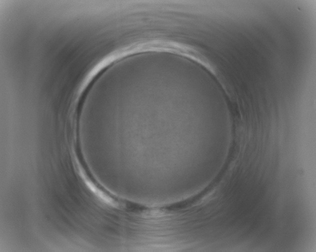 X0000082731515200701261231