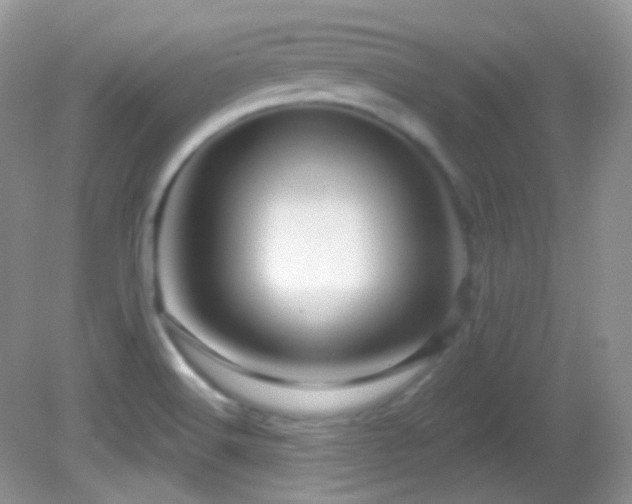 X0000082731516200701261231