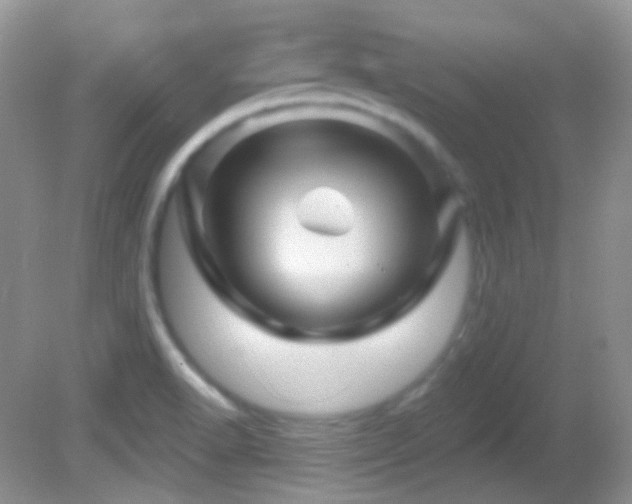 X0000082731518200701261232