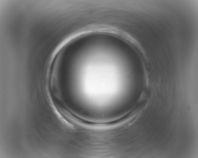 X0000082731520200701261232
