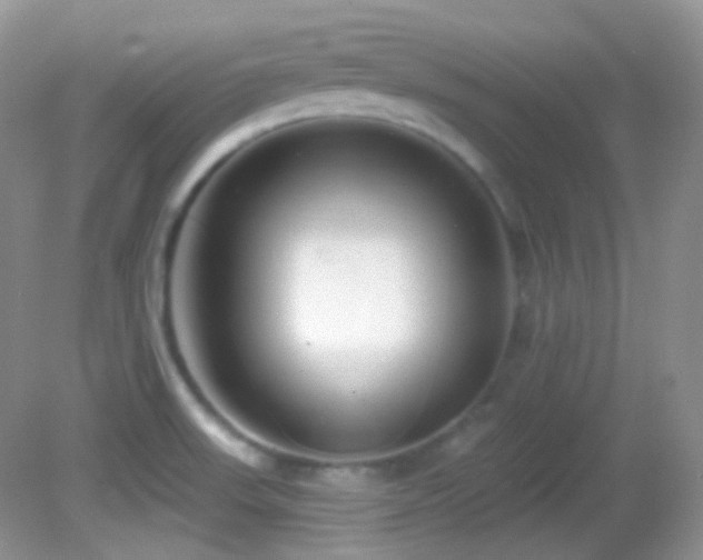 X0000082731523200701261232