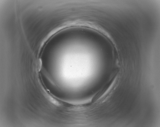 X0000082731525200701261232