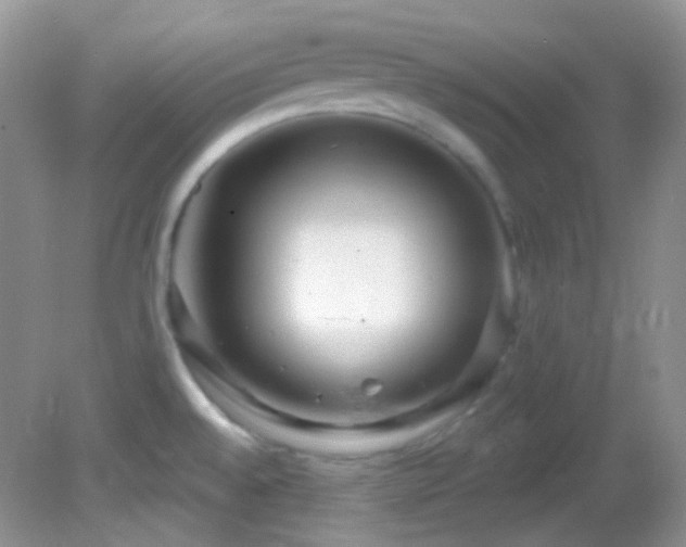 X0000082731528200701261232