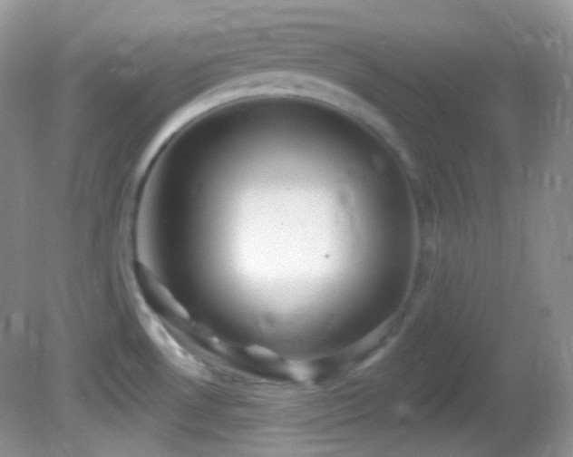 X0000082731530200701261232
