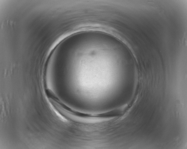 X0000082731533200701261232
