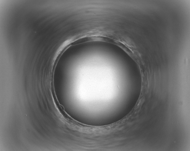 X0000082730003200702021544