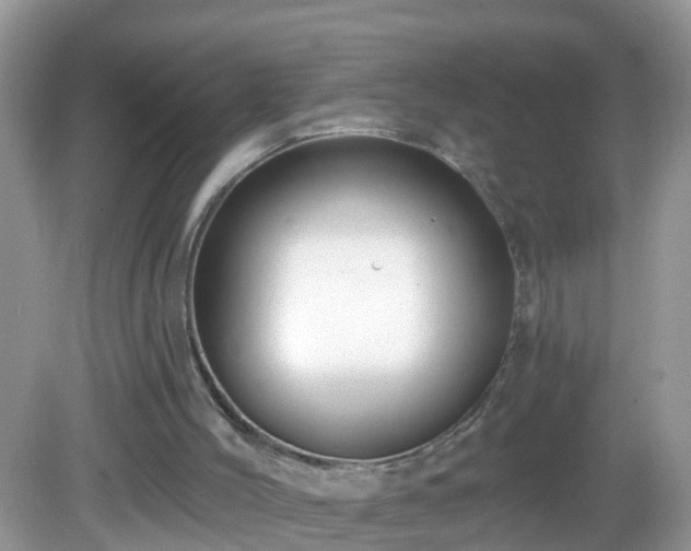 X0000082730004200702021544