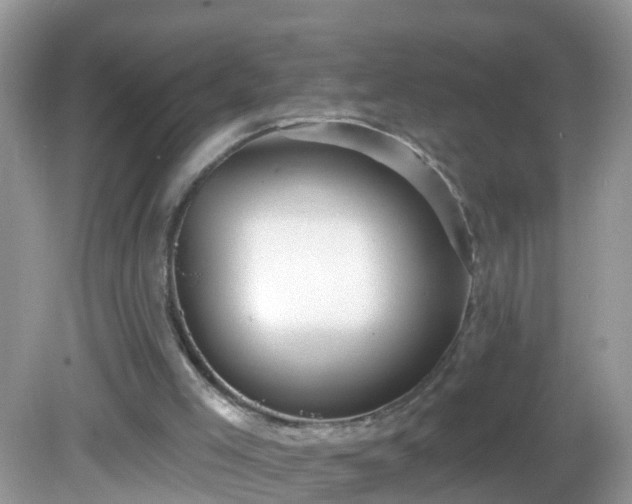 X0000082730005200702021544