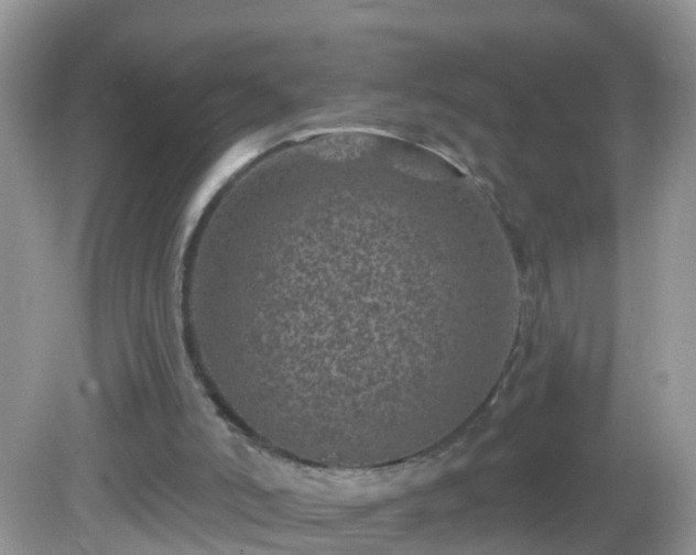 X0000082730006200702021544