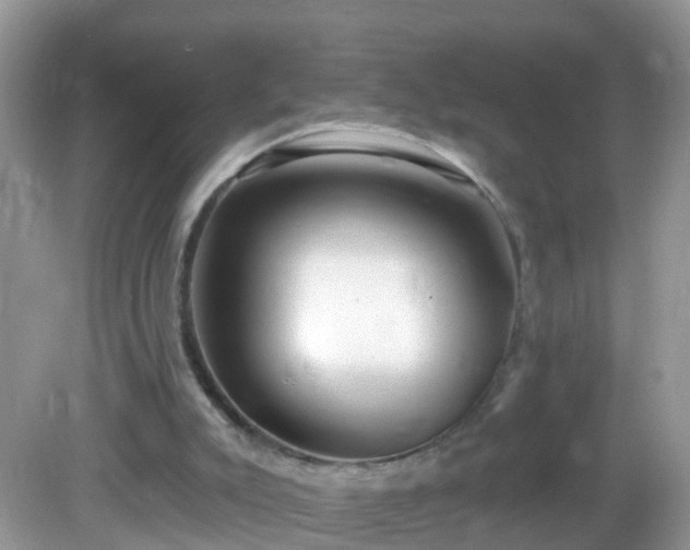 X0000082730007200702021544