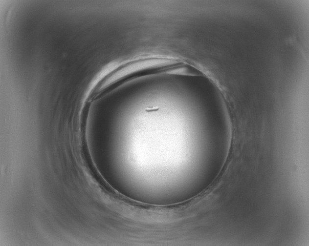 X0000082730008200702021544