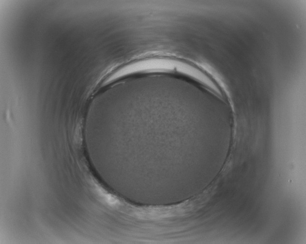 X0000082730009200702021544