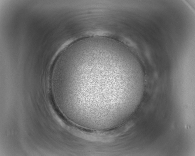 X0000082730012200702021544