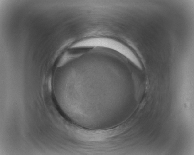 X0000082730019200702021543