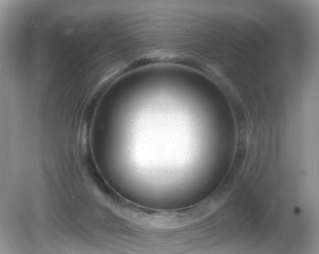 X0000082730024200702021543