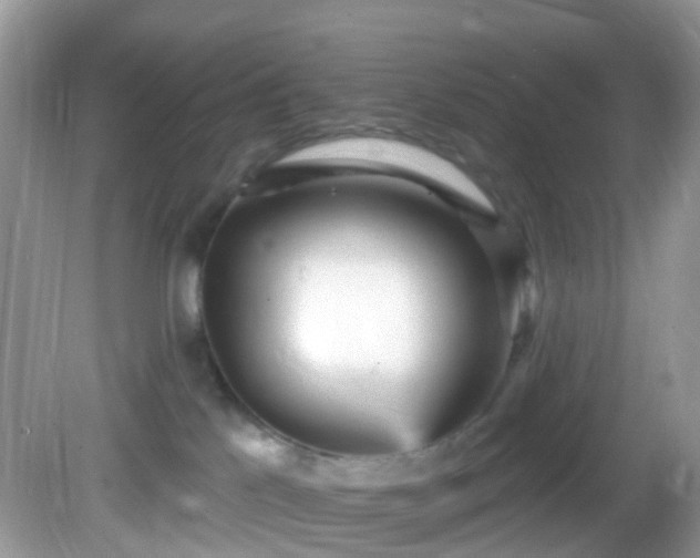 X0000082730041200702021543