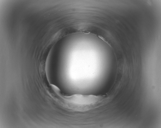 X0000082730044200702021543