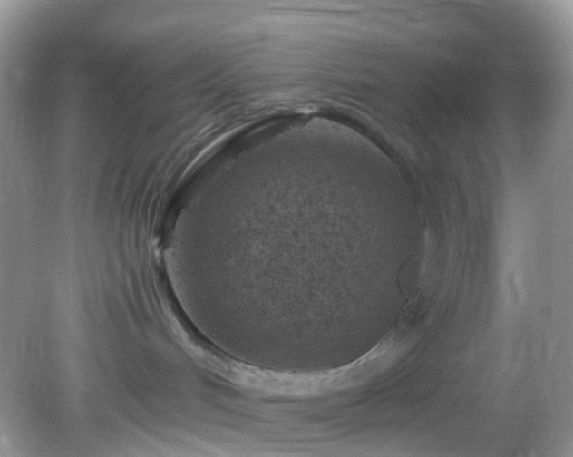 X0000082730048200702021543