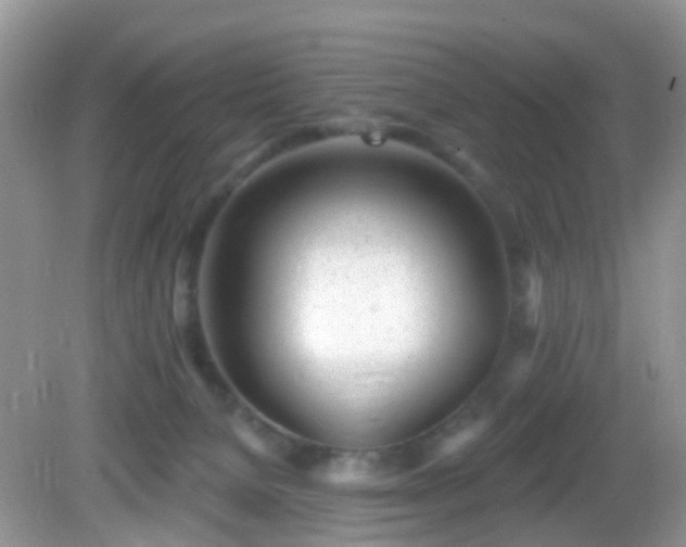 X0000082730080200702021543