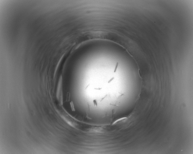 X0000082730086200702021543